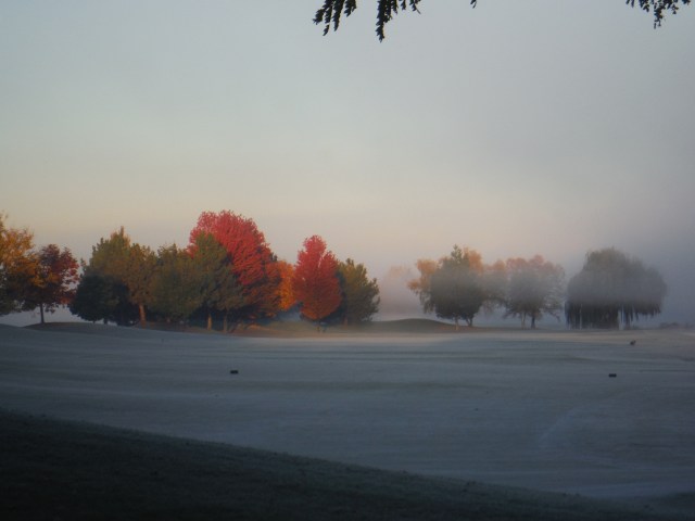 October 16, 2017 008