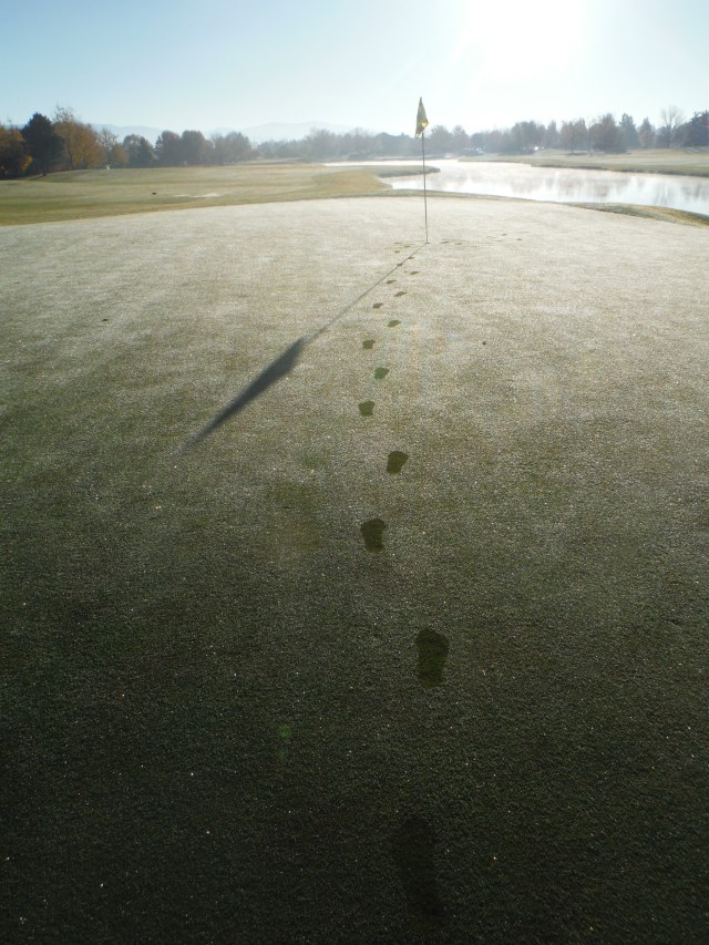 October 25, 2017 048