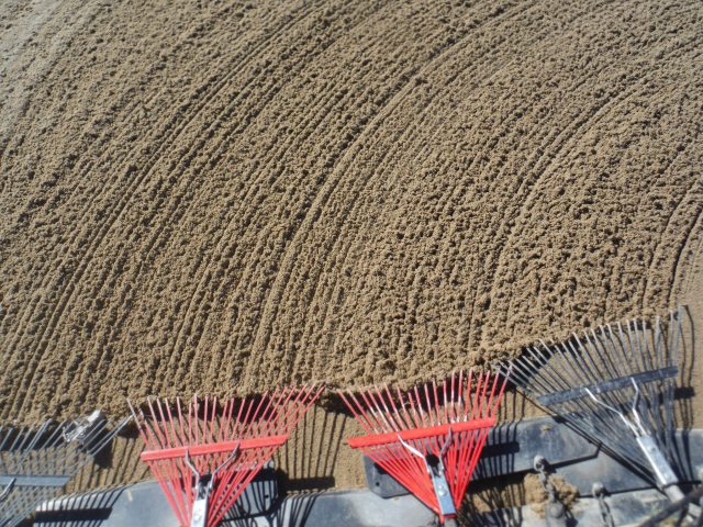 March 29, 2018 (b) 019